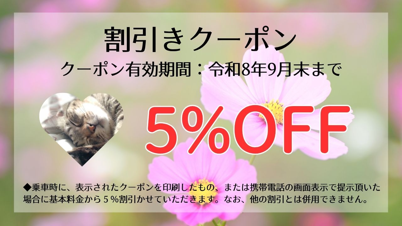 代表写真